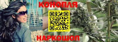 бошки Гай