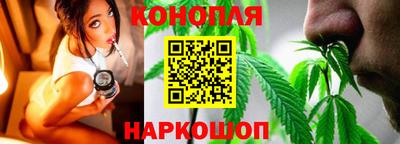 бошки Гай