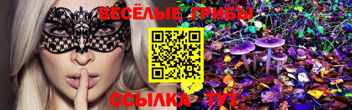 Псилоцибиновые грибы MAGIC MUSHROOMS Гатчина