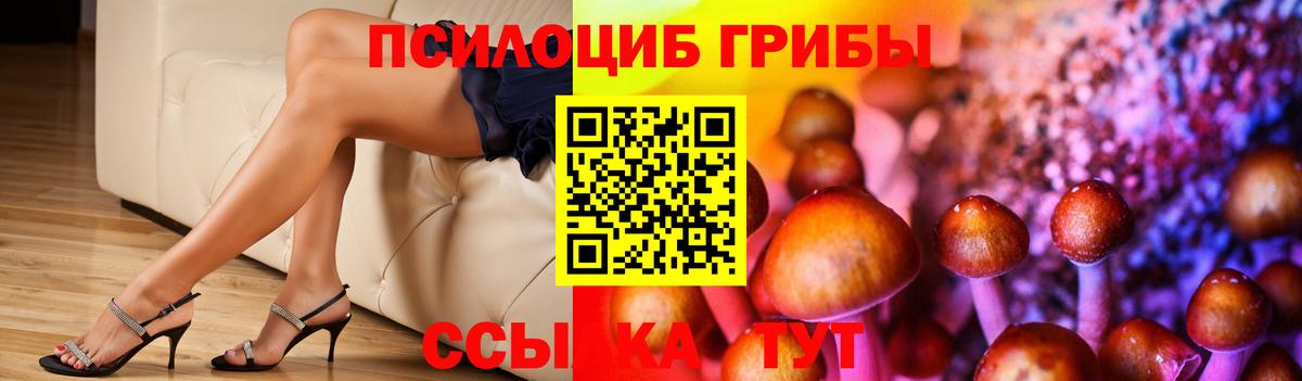 Гатчина  Псилоцибиновые грибы мицелий  Вход с VPN 